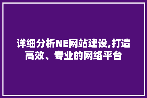 详细分析NE网站建设,打造高效、专业的网络平台 详细分析NE网站建设,打造高效、专业的网络平台 搜狗SEO