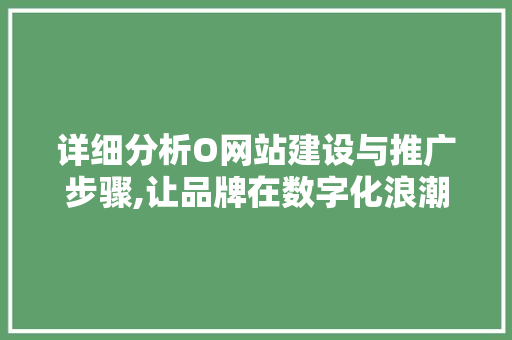 详细分析O网站建设与推广步骤,让品牌在数字化浪潮中脱颖而出 详细分析O网站建设与推广步骤,让品牌在数字化浪潮中脱颖而出 神马SEO