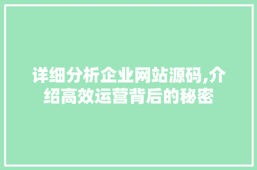 详细分析企业网站源码,介绍高效运营背后的秘密 详细分析企业网站源码,介绍高效运营背后的秘密 必应SEO