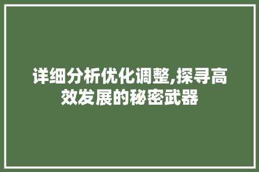 详细分析优化调整,探寻高效发展的秘密武器 详细分析优化调整,探寻高效发展的秘密武器 百度SEO