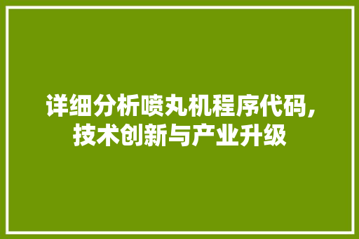 详细分析喷丸机程序代码,技术创新与产业升级 详细分析喷丸机程序代码,技术创新与产业升级 网站建设公司
