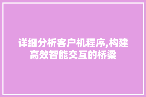 详细分析客户机程序,构建高效智能交互的桥梁 详细分析客户机程序,构建高效智能交互的桥梁 百度SEO