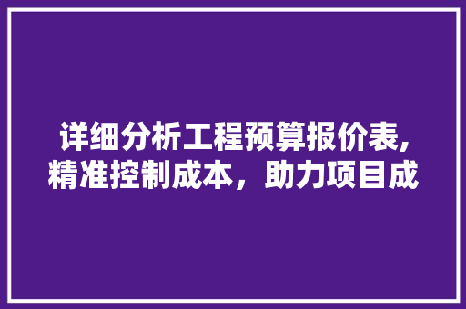 详细分析工程预算报价表,精准控制成本，助力项目成功 详细分析工程预算报价表,精准控制成本，助力项目成功 百度SEO