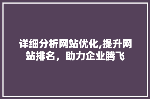 详细分析网站优化,提升网站排名，助力企业腾飞 详细分析网站优化,提升网站排名，助力企业腾飞 SEO关键词