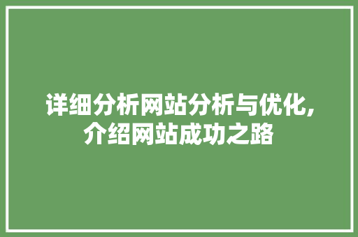 详细分析网站分析与优化,介绍网站成功之路 详细分析网站分析与优化,介绍网站成功之路 网站建设公司