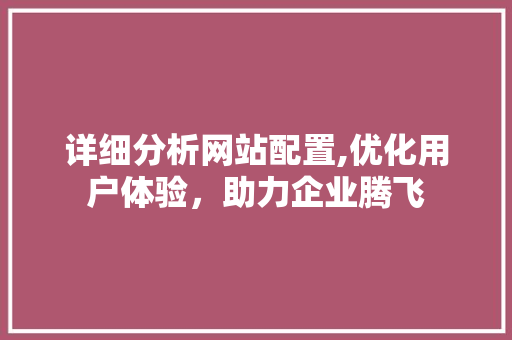 详细分析网站配置,优化用户体验，助力企业腾飞 详细分析网站配置,优化用户体验，助力企业腾飞 神马SEO