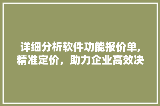 详细分析软件功能报价单,精准定价，助力企业高效决策 详细分析软件功能报价单,精准定价，助力企业高效决策 百度SEO