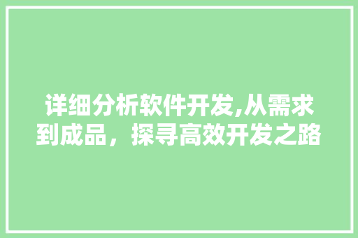 详细分析软件开发,从需求到成品，探寻高效开发之路 详细分析软件开发,从需求到成品，探寻高效开发之路 搜狗SEO
