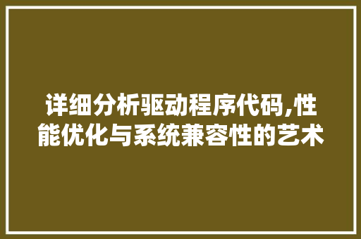详细分析驱动程序代码,性能优化与系统兼容性的艺术 详细分析驱动程序代码,性能优化与系统兼容性的艺术 神马SEO
