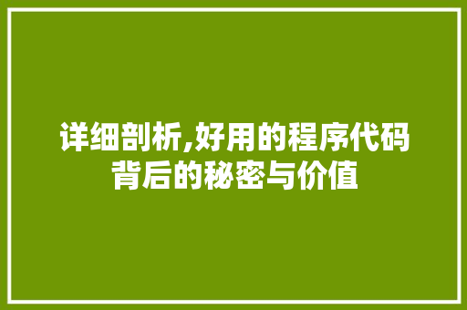 详细剖析,好用的程序代码背后的秘密与价值
