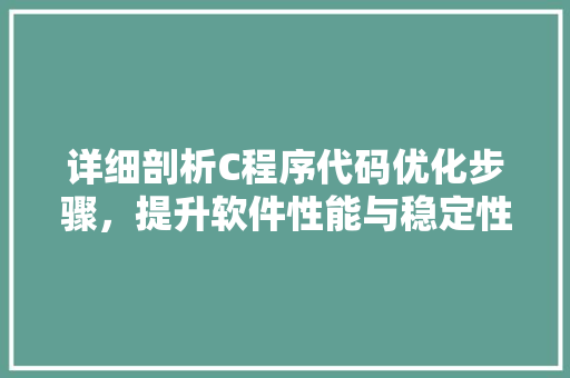 详细剖析C程序代码优化步骤，提升软件性能与稳定性 详细剖析C程序代码优化步骤，提升软件性能与稳定性 SEO关键词