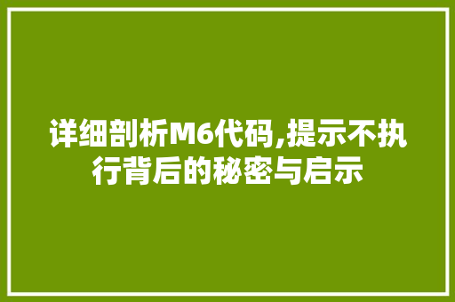详细剖析M6代码,提示不执行背后的秘密与启示 详细剖析M6代码,提示不执行背后的秘密与启示 神马SEO