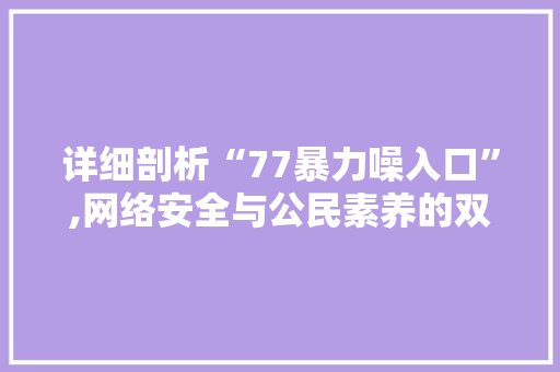 详细剖析“77暴力噪入口”,网络安全与公民素养的双重挑战 详细剖析“77暴力噪入口”,网络安全与公民素养的双重挑战 必应SEO