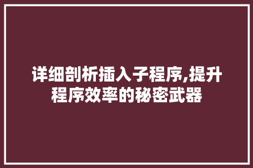 详细剖析插入子程序,提升程序效率的秘密武器 详细剖析插入子程序,提升程序效率的秘密武器 必应SEO
