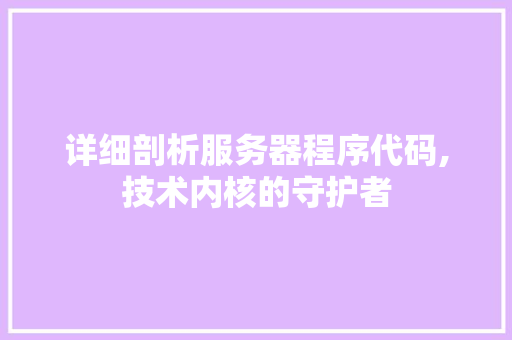 详细剖析服务器程序代码,技术内核的守护者 详细剖析服务器程序代码,技术内核的守护者 网站建设公司