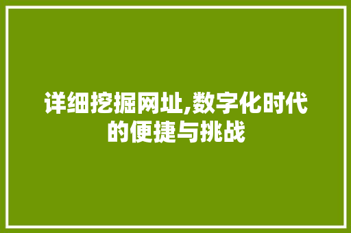 详细挖掘网址,数字化时代的便捷与挑战 详细挖掘网址,数字化时代的便捷与挑战 必应SEO