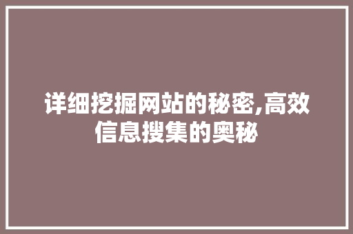 详细挖掘网站的秘密,高效信息搜集的奥秘