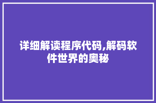 详细解读程序代码,解码软件世界的奥秘 详细解读程序代码,解码软件世界的奥秘 百度SEO