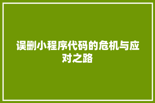 误删小程序代码的危机与应对之路 误删小程序代码的危机与应对之路 必应SEO
