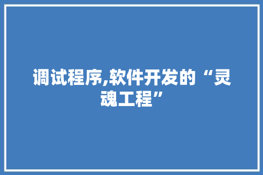 调试程序,软件开发的“灵魂工程” 调试程序,软件开发的“灵魂工程” 神马SEO