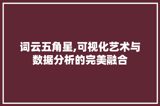 词云五角星,可视化艺术与数据分析的完美融合 词云五角星,可视化艺术与数据分析的完美融合 百度SEO