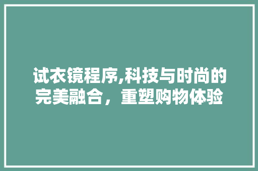 试衣镜程序,科技与时尚的完美融合，重塑购物体验
