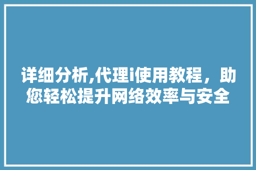 详细分析,代理i使用教程，助您轻松提升网络效率与安全 详细分析,代理i使用教程，助您轻松提升网络效率与安全 必应SEO