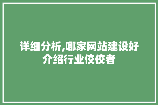 详细分析,哪家网站建设好介绍行业佼佼者 详细分析,哪家网站建设好介绍行业佼佼者 必应SEO