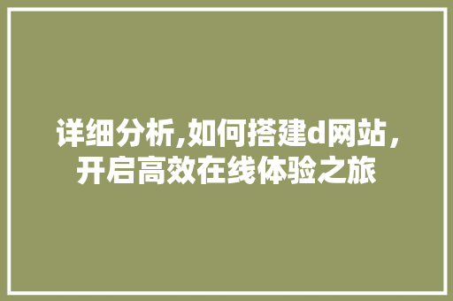 详细分析,如何搭建d网站，开启高效在线体验之旅 详细分析,如何搭建d网站，开启高效在线体验之旅 百度SEO