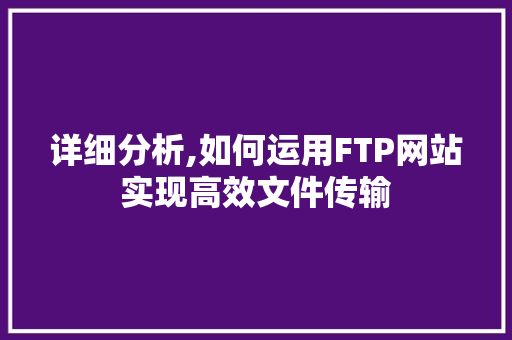详细分析,如何运用FTP网站实现高效文件传输 详细分析,如何运用FTP网站实现高效文件传输 网站建设公司