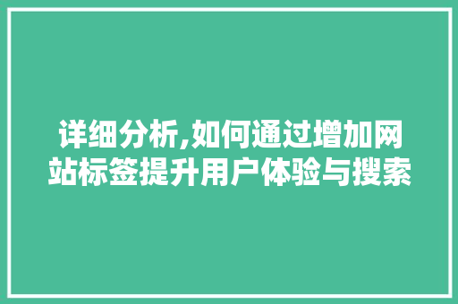 详细分析,如何通过增加网站标签提升用户体验与搜索引擎排名 详细分析,如何通过增加网站标签提升用户体验与搜索引擎排名 网站建设公司