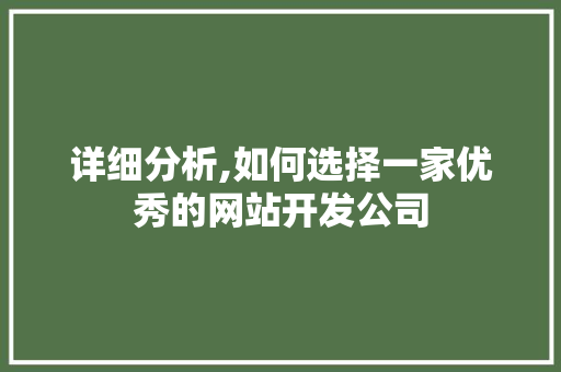 详细分析,如何选择一家优秀的网站开发公司 详细分析,如何选择一家优秀的网站开发公司 神马SEO