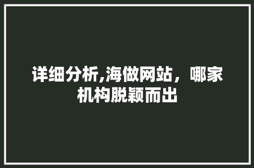 详细分析,海做网站，哪家机构脱颖而出