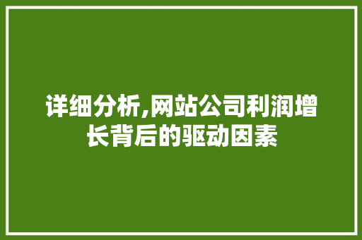 详细分析,网站公司利润增长背后的驱动因素 详细分析,网站公司利润增长背后的驱动因素 搜狗SEO