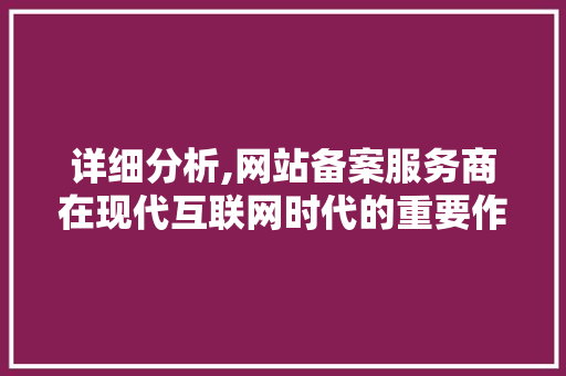 详细分析,网站备案服务商在现代互联网时代的重要作用 详细分析,网站备案服务商在现代互联网时代的重要作用 SEO关键词