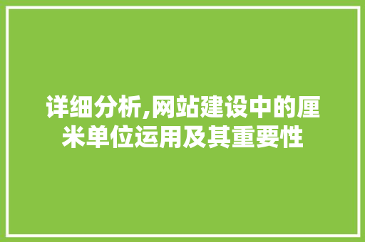 详细分析,网站建设中的厘米单位运用及其重要性 详细分析,网站建设中的厘米单位运用及其重要性 必应SEO