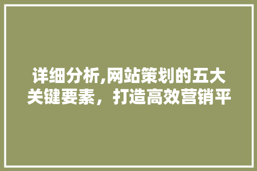 详细分析,网站策划的五大关键要素，打造高效营销平台 详细分析,网站策划的五大关键要素，打造高效营销平台 神马SEO