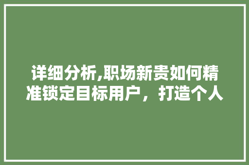 详细分析,职场新贵如何精准锁定目标用户，打造个人品牌 详细分析,职场新贵如何精准锁定目标用户，打造个人品牌 神马SEO