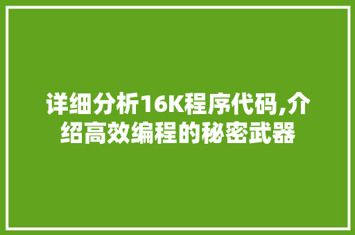 详细分析16K程序代码,介绍高效编程的秘密武器 详细分析16K程序代码,介绍高效编程的秘密武器 SEO关键词