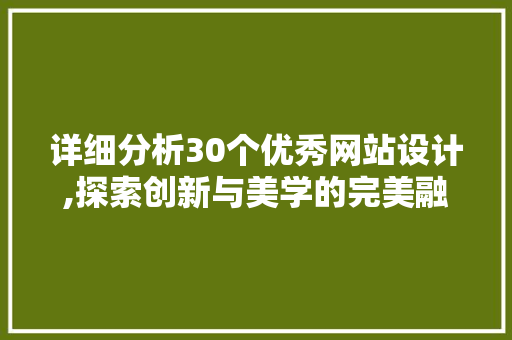 详细分析30个优秀网站设计,探索创新与美学的完美融合 详细分析30个优秀网站设计,探索创新与美学的完美融合 神马SEO