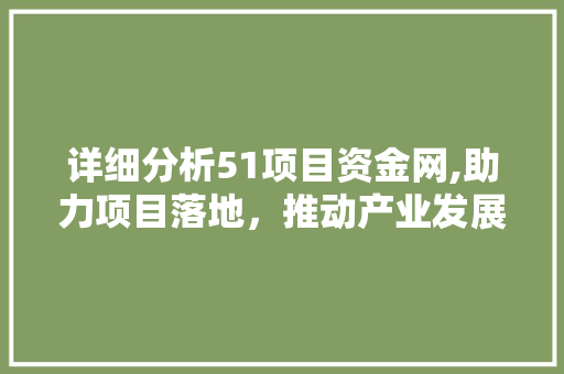 详细分析51项目资金网,助力项目落地，推动产业发展 详细分析51项目资金网,助力项目落地，推动产业发展 网站建设公司