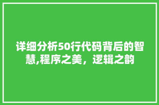详细分析50行代码背后的智慧,程序之美，逻辑之韵 详细分析50行代码背后的智慧,程序之美，逻辑之韵 网站建设公司
