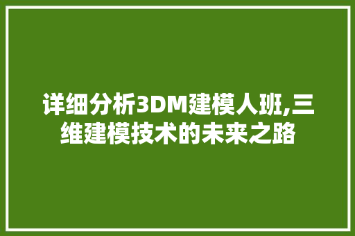 详细分析3DM建模人班,三维建模技术的未来之路 详细分析3DM建模人班,三维建模技术的未来之路 网站建设公司