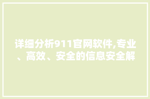 详细分析911官网软件,专业、高效、安全的信息安全解决方法 详细分析911官网软件,专业、高效、安全的信息安全解决方法 网站建设公司