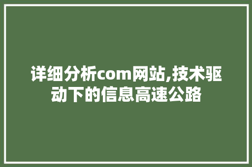 详细分析com网站,技术驱动下的信息高速公路