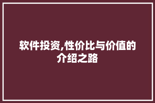 软件投资,性价比与价值的介绍之路 软件投资,性价比与价值的介绍之路 网站建设公司