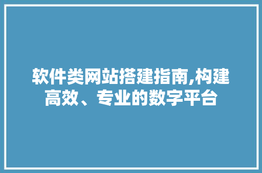 软件类网站搭建指南,构建高效、专业的数字平台 软件类网站搭建指南,构建高效、专业的数字平台 搜狗SEO