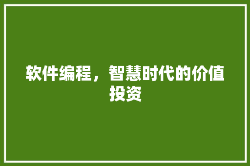 软件编程，智慧时代的价值投资 软件编程，智慧时代的价值投资 必应SEO