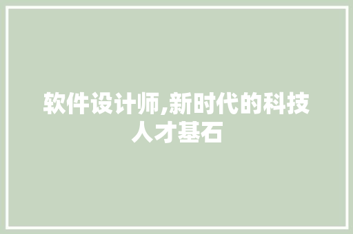 软件设计师,新时代的科技人才基石 软件设计师,新时代的科技人才基石 神马SEO