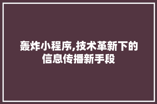 轰炸小程序,技术革新下的信息传播新手段 轰炸小程序,技术革新下的信息传播新手段 百度SEO